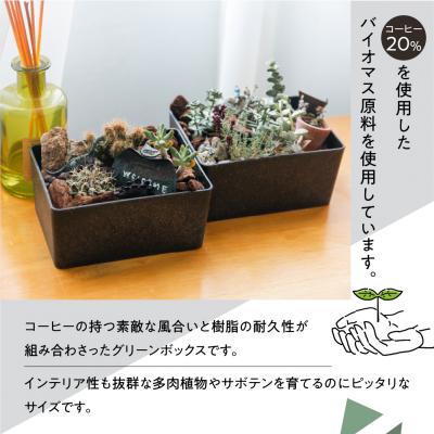 ふるさと納税 下呂市 【コーヒーグラウンズ】KITOHAKO グリーンボックス 1個　小物入れ ケース【103-2【2】】 |  | 01