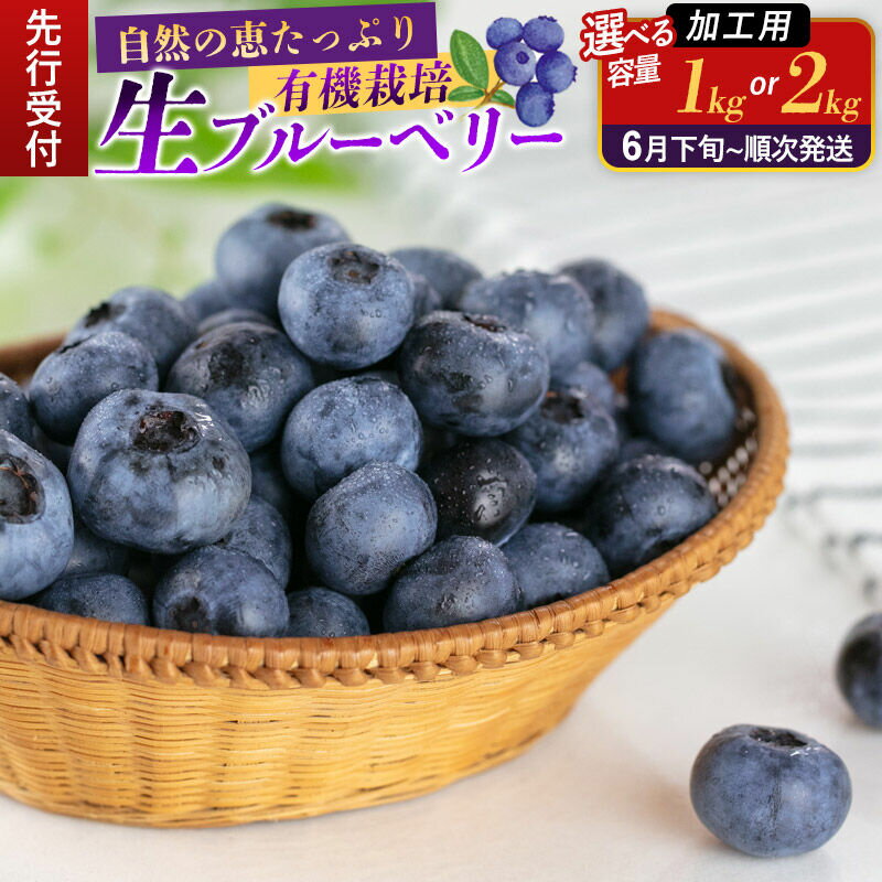 【ふるさと納税】《先行受付》【加工用】田口農園 秋田県産 ブルーベリー 生【選べる容量：1kg（500g×2パック）／2kg（500g×4パック）】【6月下旬から順次発送】 [ブルーベリー 有機栽培 加工用 新鮮 安心 安全 大粒 甘い あまい]