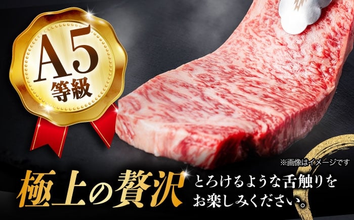 ステーキ サーロインステーキ サーロイン ステーキ肉 牛 国産 和牛 焼肉