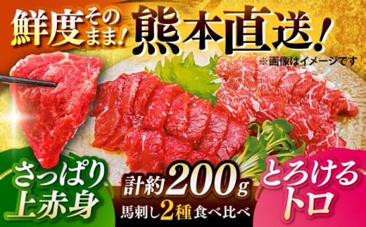 【令和8年度熊本地震復興支援】馬刺し こだわり 2点盛り 赤身馬刺し トロ馬刺し 各100g（醤油・生姜付き）計200g / 熊本馬刺し 馬刺 馬刺し ばさし バサシ 馬肉 赤身馬刺し 醤油付き 生姜付き 熊本 くまもと 菊陽町【有限会社菊陽食肉センター】 [BHAC001]