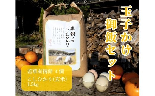 若草有精卵と無農薬こしひかり1.5kg（玄米）の玉子かけ御飯セット 002014