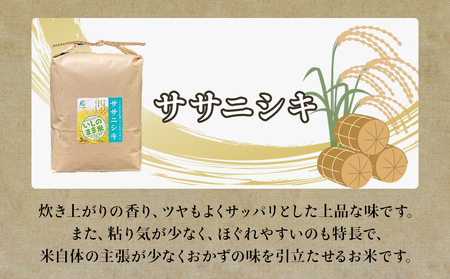 令和7年産 お米3銘柄食べ比べ 9kg (3kg×3）米 精米 ササニシキ ひとめぼれ だて正夢 宮城県 石巻市