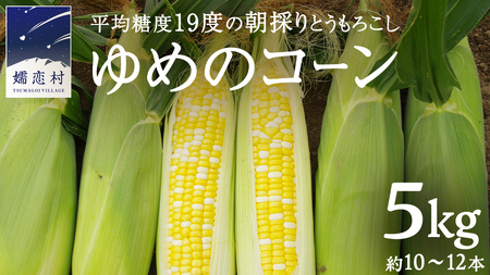 ゆめのコーン 5kg 約10～12本 とうもろこし トウモロコシ スイートコーン 野菜 産地直送 羽生田売店 期間限定 人気 朝採り お取り寄せ 通販 関東 群馬 [AL019tu]