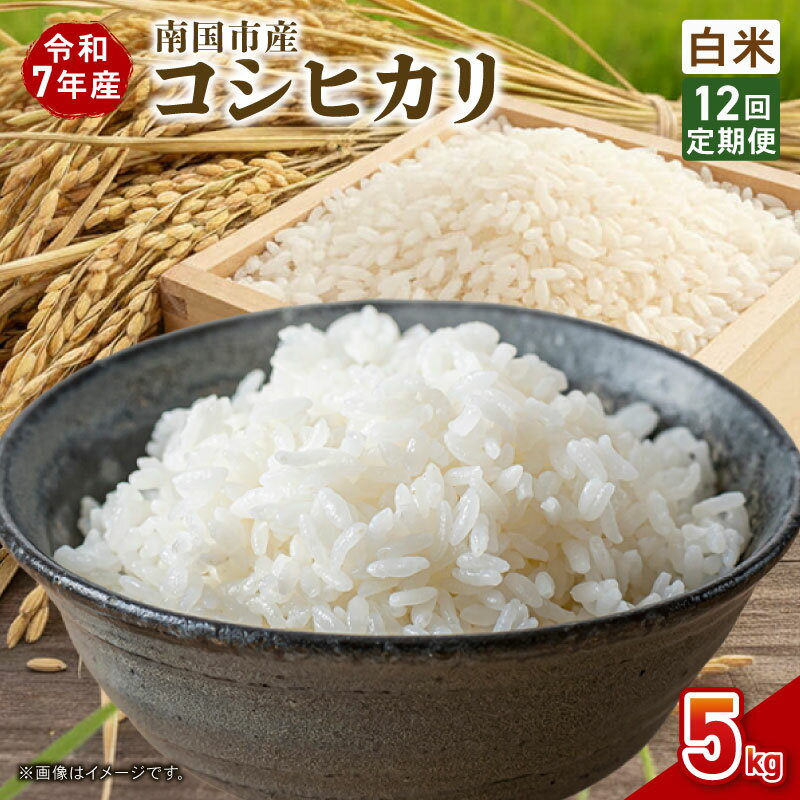 【ふるさと納税】 定期便 12ヶ月 令和7年度 南国市産 コシヒカリ 白米 5kg 期間限定 数量限定 米 コメ お米 ご飯 おにぎり こめ 弁当 高知県 南国市