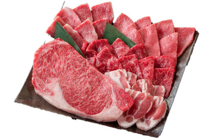 佐賀県産牛・豚 焼肉セット550g （5種） / 佐賀県 / 一般社団法人 龍乃[41ANAC090]