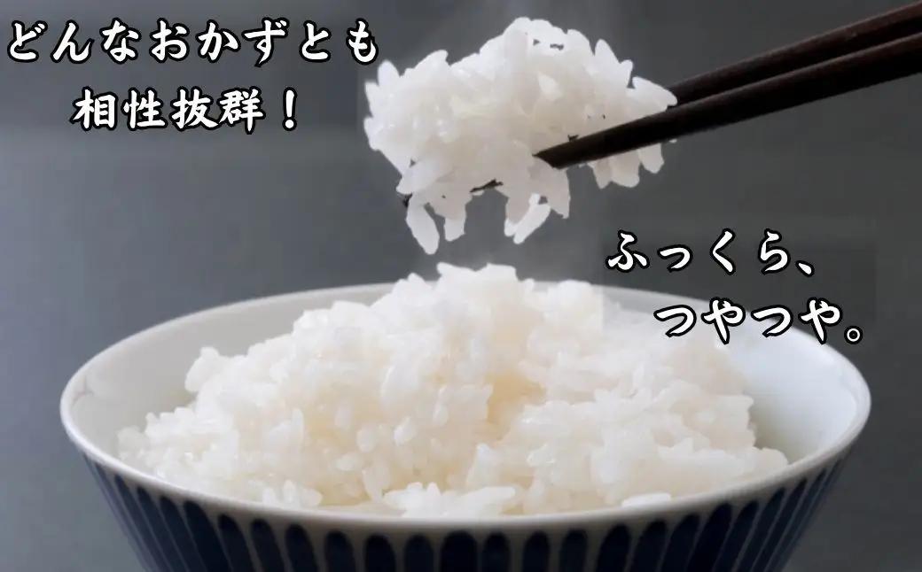 Y1084 鳥取県産「ひとめぼれ」玄米10kg（令和8年産）