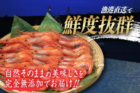 【選べる容量！】【小分け】越前産冷凍甘えび大サイズ約250g × 4パック 合計約1.0kg 1.0kg（約250g × 4パック）