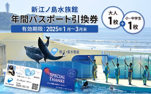 
										
										チケット 神奈川 【新江ノ島水族館】年間パスポート引換券(大人1枚+小・中学生1枚) 有効期間2025年1月～3月末まで 水族館 パスポート 入場券 江ノ島 藤沢市 神奈川県 プレゼント ギフト
									