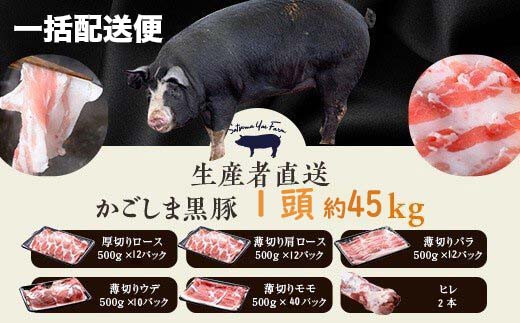 
MS-602 かごしま黒豚1頭まるごと 約45kg 【一括配送便】 生産者直送 薩摩八重ファーム 工房みかく亭
