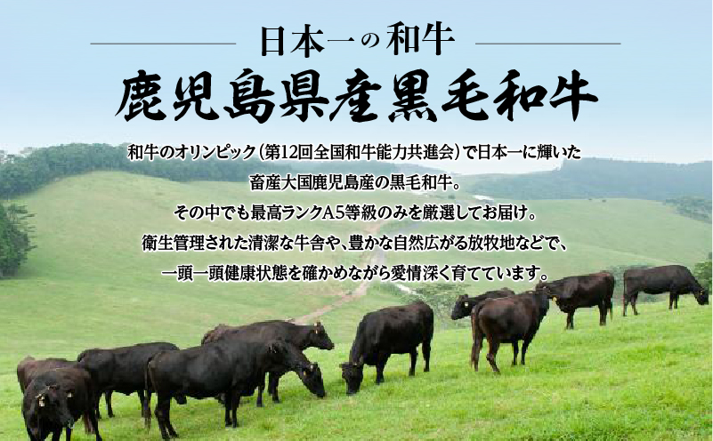 A5等級 鹿児島県産 黒毛和牛 赤身 スライス 1kg　K002-052_10