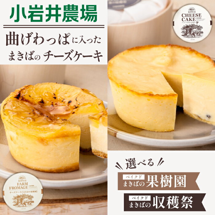 【ふるさと納税】 チーズケーキ おすすめ 小岩井農場 選べる 2種類 約140g ／ チーズ ケーキ 限定商品 ベイクド ベイクドチーズケーキ お土産 おみやげ 贈答用 ギフト プチギフト プレゼント 贈り物 お取り寄せ スイーツ デザート おやつ お菓子 岩手県 雫石町 送料無料