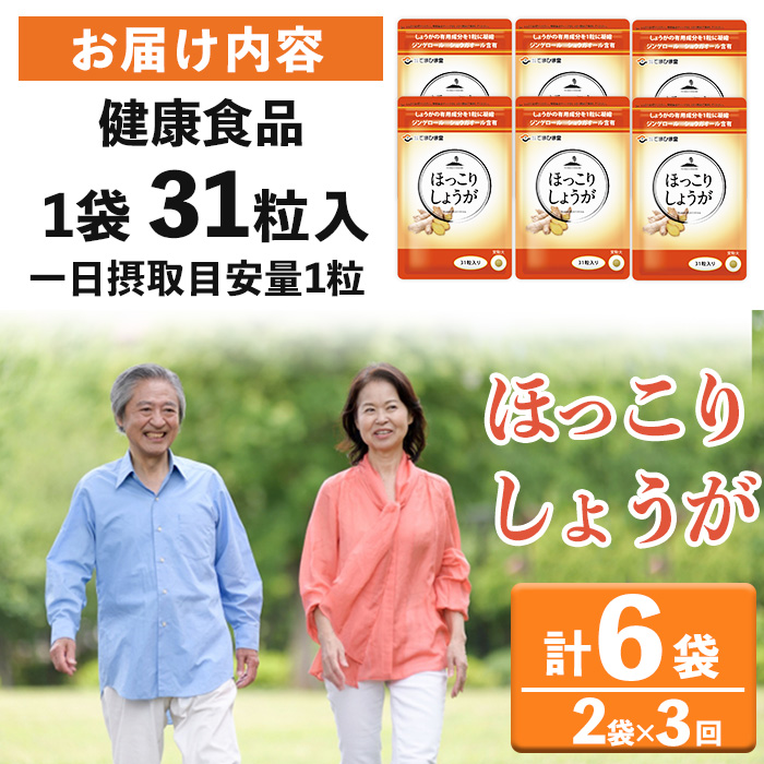 No.1296-A ＜定期便・全3回(隔月)＞ほっこりしょうが(1袋 31粒入り・2袋×3回)  鹿児島 日置市 健康食品 加工食品 サプリメント 栄養 食生活 安心安全 定期便 【てまひま堂】