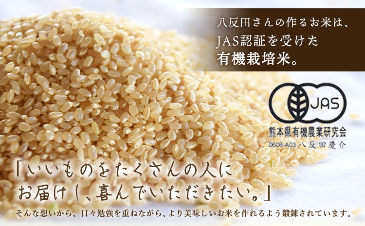 令和6年産 御船清流米 白米 4.5kg みふね有機の里《30日以内に出荷予定(土日祝除く)》熊本県御船町 有機JAS認証 有機栽培米---sm_ykseimh_30d_24_17000_4500g---