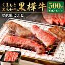 【ふるさと納税】くまもと黒毛和牛 黒樺牛 A4～A5等級 焼肉用カルビ 250g×2パック 合計500g 牛肉 牛 霜降り 赤身 お肉 焼き肉 BBQ 黒毛和牛 国産 九州産 熊本県産 冷凍 送料無料