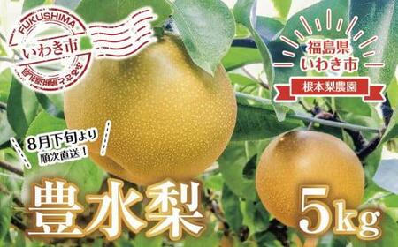 《先行予約》いわき市産梨　豊水5kg（約9～13個）