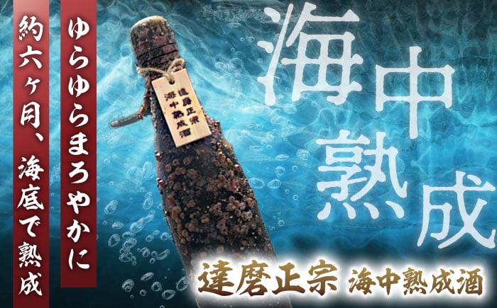 
                  日本酒 達磨正宗 海中熟成酒（純米酒） 清酒 お酒 半年熟成 まろやか おすすめ 人気 熟成酒 古酒 達磨正宗 だるままさむね 白木恒助商店 岐阜 地酒 珍しい 限定 希少 720ml 四合瓶 ギフト プレゼント 贈り物 贈答 お返し 内祝い お祝い お誕生日 母の日 父の日 敬老の日 年末年始 正月 アルコール お酒 酒 岐阜市/白木恒助商店 [ANBG004]
                