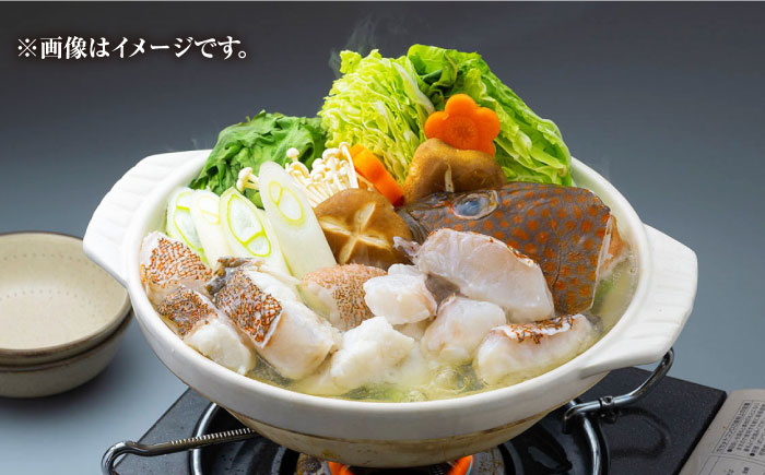 【 対馬産 】 アコウ （ キジハタ ） 鍋 セット 500g 《対馬市》【石川水産】 水炊き 高級 鮮度抜群 海鮮 [WAB002]