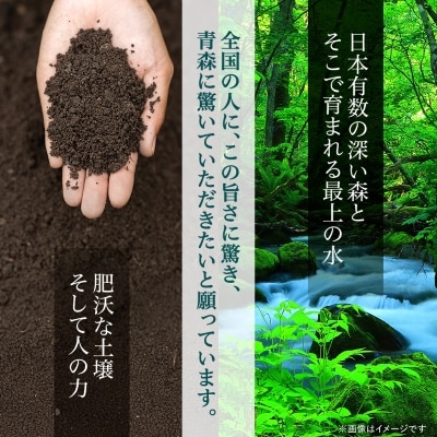 青天の霹靂 精米5kg【化粧箱入り】
