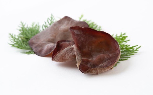 【先行予約】UIC 季節限定！完全無農薬！生きくらげ (約60g×6パックセット) 2025年5月から7月 出荷予定