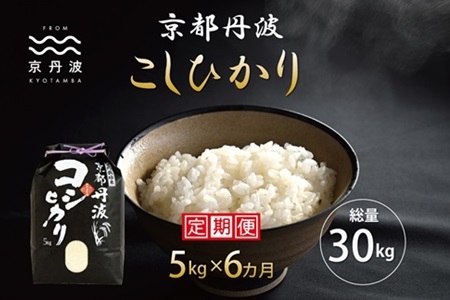 【6回定期便】 京丹波こしひかり 5kg×連続6カ月 令和7年産   [060MB003R]