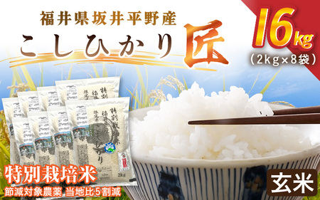 令和7年産 特別栽培米 コシヒカリ匠 16kg（2kg×8袋） 節減対象農薬当地比5割減【玄米】お米 コシヒカリ [G-2909_02]