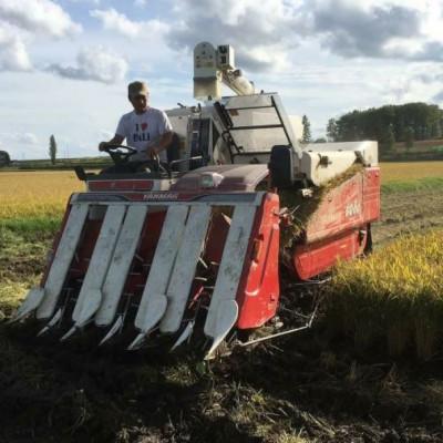 ふるさと納税 鷹栖町 先行 令和6年産たかすタロファームゆめぴりか・ななつぼし【精白米】8kg(2kg×4) SA171 |  | 02