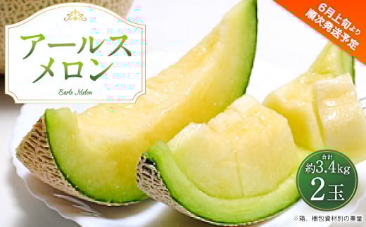 
            アールスメロン 2玉入り 合計約3.4kg【サンサンうきっ子宇城彩館】【2025年6月上旬から6月下旬発送予定】メロン
          