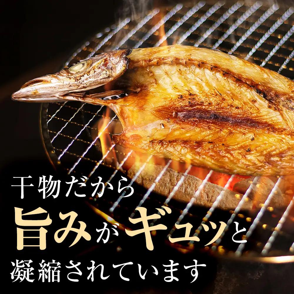 きときと特選一夜干し4種詰合せ《かます・あじ・いわし・するめいか》