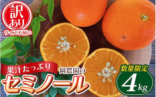 
										
										訳あり品 サイズ混合 ご家庭用 岡農園のセミノール4kg【2025年3月下旬から4月下旬までに順次発送】 / セミノール わけあり 訳あり 家庭用 みかん 蜜柑 数量限定 ミカン【mok009B】
									