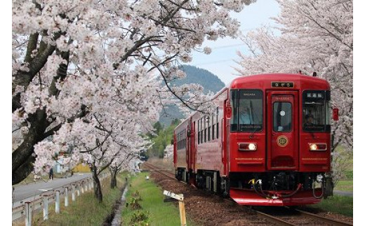 
観光列車 「ながら」 ランチプラン 予約 乗車券（ペア） T84-01
