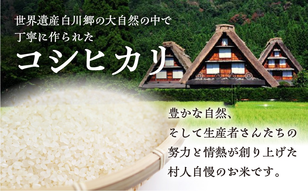 
                   白川郷こしひかり 5kg 白川村産 コシヒカリ 5キロ 常温 こめ コメ 新生活 応援 こだわりの お米 精米 ごはん ご飯 岐阜県 飛騨 高山米穀 20000円[S160] 
                