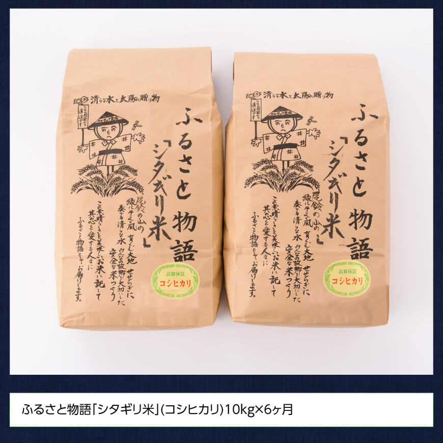 【6ヶ月定期便】※毎月20日頃発送※【令和6年産】宮崎県産こしひかり 「シタギリ米」 5kg×2【 お米 新米 2024年産 定期便 全6回 】[D04202t6]