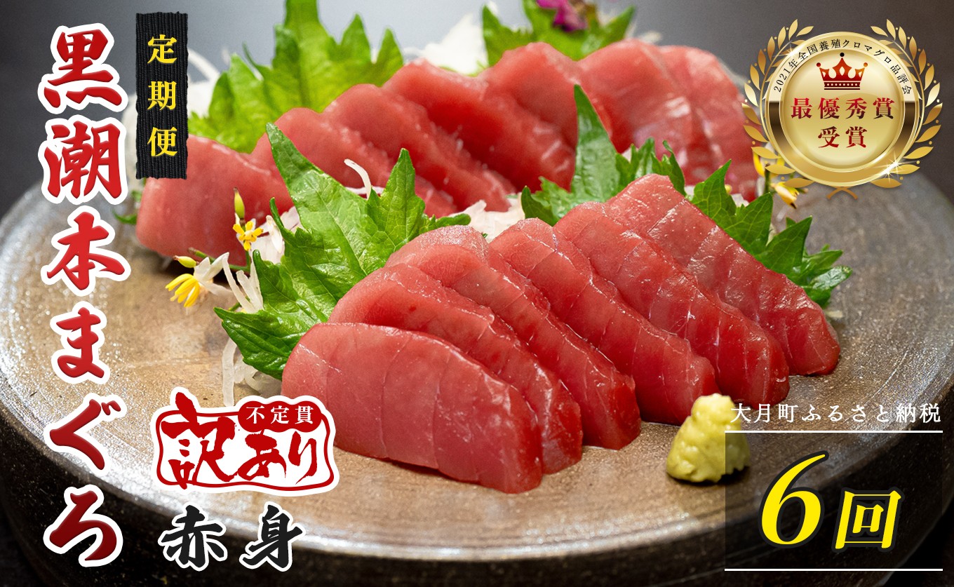 
                  訳あり 不定貫 定期便 6回 国産 養殖本マグロ 赤身 毎回120g×6回 黒潮本まぐろ 全国養殖クロマグロ品評会 最優秀賞受賞 6ヶ月 6か月 半年 柵 刺身用 本マグロ クロマグロ 本鮪 まぐろ 鮪 お刺身 さしみ 海鮮丼 漬け丼 手巻き寿司 鉄火丼 まぐろ丼 小分け 個包装 真空パック 冷凍 不揃い 家庭用 海鮮 年末年始 高知県 大月町 4万円
                