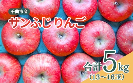 【2026年先行予約】千曲市産 サンふじ りんご 約5kg （13~16玉）｜ 果物 フルーツ リンゴ 林檎 サンフジ さんふじ 千曲市 長野県 信州