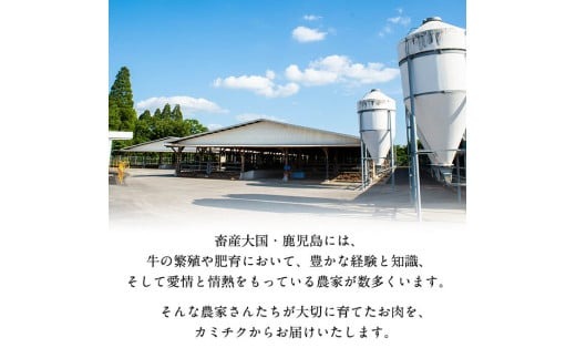 【小分け】＜A5等級＞鹿児島県産黒毛和牛 すき焼きしゃぶしゃぶセット(霜降りスライス・赤身スライス各200g×3P/計1.2kg) b6-022