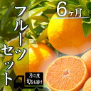 【ふるさと納税】定期便 人気 フルーツ 毎月 6回 半年間 お楽しみ 大満足 みかん 不知火 ポンカン はるみ デコポン 清見 甘夏 福原オレンジ ニューサマーオレンジ ハウスみかん ブドウ 温州ミカン 柿 青島 湯の花 みかんメインで贈るフルーツ6回の定期便