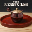 【ふるさと納税】【常滑焼】名工昭龍天目急須 陶器 やきもの セラメッシュ 名工作品 伝統工芸 工芸品 六古窯 急須 ポット お茶 日本製 国産 茶道具 茶器 日本六古窯 送料無料