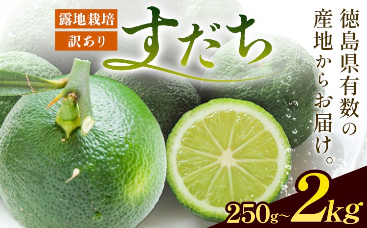 
            すだち 生産量日本一の徳島県よりお届け！ 訳あり すだち 選べる 250g 500g 1kg 1.5kg 2kg 露地すだち スダチ 一般財団法人さなごうち《9月中旬-11月上旬頃出荷》徳島県 佐那河内村 送料無料 スダチ 露地 魚 豆腐 冷奴 焼き魚 天ぷら 刺身 徳島県産
          