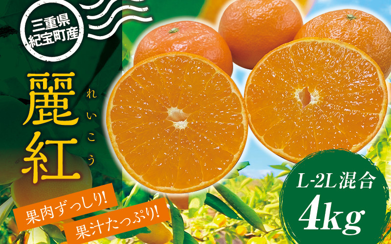 
            萩野農園の麗紅(れいこう) 4kg L-2L サイズ混合 みかん ミカン 柑橘 果物 くだもの フルーツ 旬 農家直送 産地直送 人気 【2026年1月末から2月末までに順次発送】
          