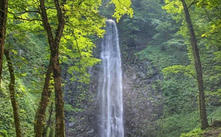 3回定期便【水の郷百選】山形県 鳥海山 氷河水（ひょうがすい） 500ml×24本 天然水 ミネラルウォーター 軟水 F2Y-5449