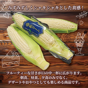 白いとうもろこし 彩コーン 約4kg 10本 《2026年6月～7月発送》 ホワイトコーン とうもろこし とうもろこし