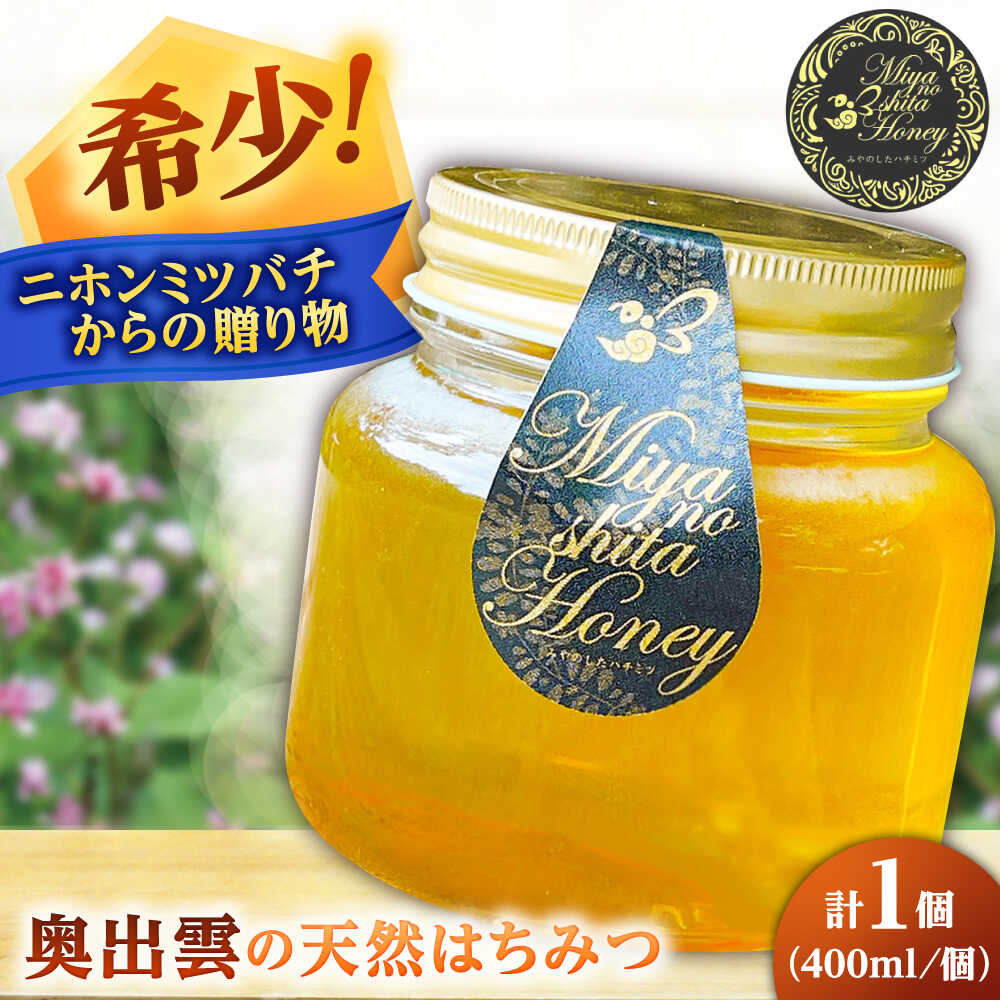 【ふるさと納税】希少な天然日本ミツバチの「はちみつ」 400ml×1個 島根県雲南市/みやのしたハチミツ｜蜂蜜 国産 はちみつ ハチミツ[AICL002]
