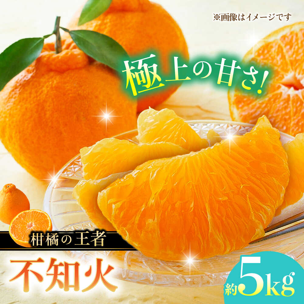 【ふるさと納税】【先行予約】不知火 約5kg 柑橘 蜜柑 みかん フルーツ 【日本フルーツ株式会社】 [ZFJ002]
