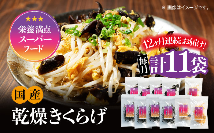 
            【全12回定期便】【栄養満点のスーパーフード！りんりんきくらげ】国産 乾燥 木耳 美容 健康 ぷりこりセット 計11袋 きくらげ キクラゲ 木耳 きのこ キノコ 食品 食物繊維 野菜 やさい ビタミンD 乾燥 炒め物 ラーメン 便利 密封 安心 安全 美容 健康 腸活 ギフト 国産 広島県産 人気 江田島市/株式会社凛[XCB011]
          