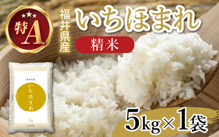 令和7年産 福井県産 いちほまれ 5kg ( 5kg × 1袋 ) [A-014002] 精米 白米