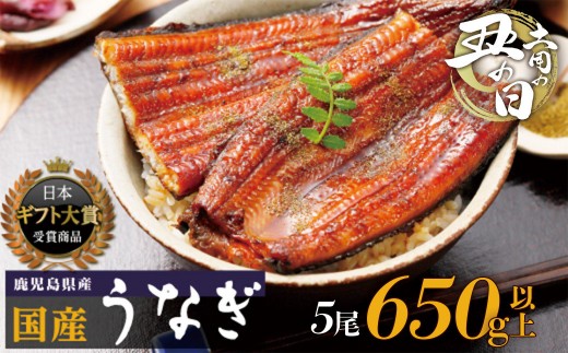【土用丑の日】鹿児島県産うなぎ長蒲焼120g×5尾セット