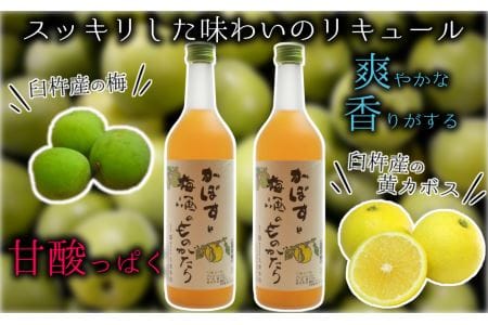 臼杵産かぼすをブレンドした梅酒「かぼすと梅酒のものがたり」２本セット