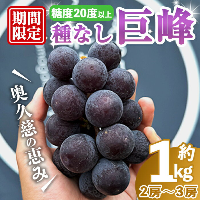 【ふるさと納税】【先行予約】巨峰1kg［2～3房入り］ 巨峰 ぶどう ブドウ 葡萄 フルーツ 果物 くだもの デザート 【奥久慈 まほろばの郷 ふれあい農園】【ho1522】