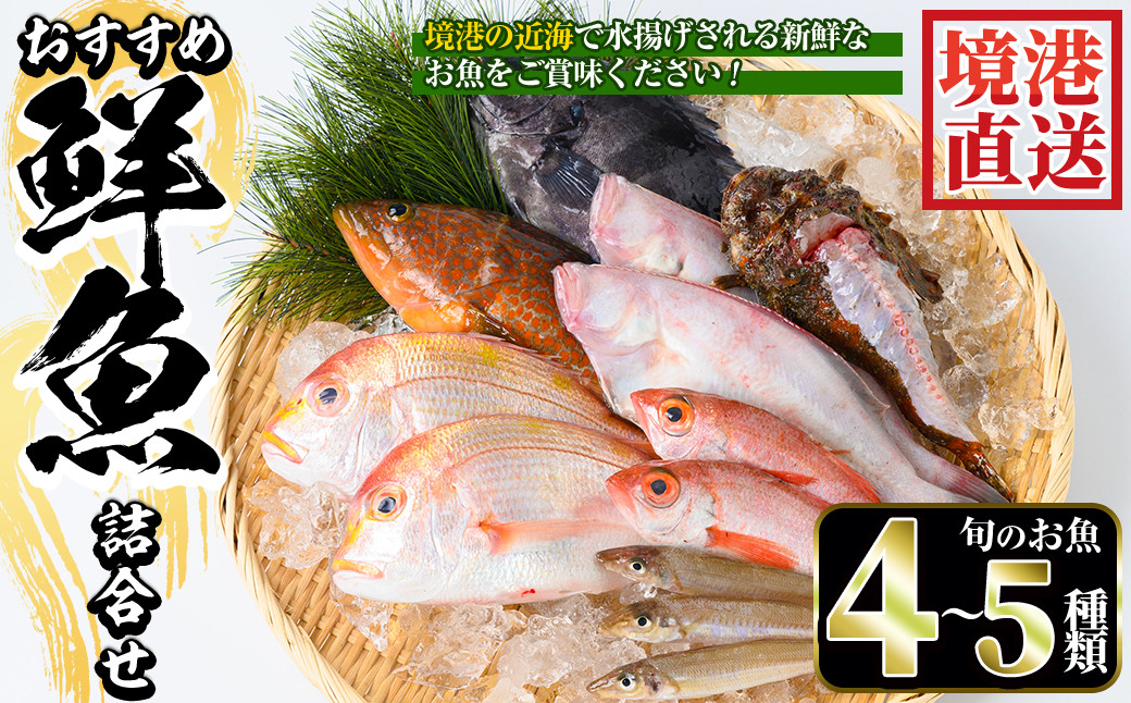 
＜選べる＞＜7～8月・年末年始配送不可＞おすすめ鮮魚詰め合わせ(4～5種類)【sm-AA003】【いたくら】
