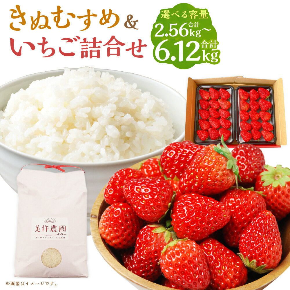 【ふるさと納税】＜選べる容量・パック数＞【令和7年産】 新米・精米　きぬむすめ（2kg/5kg）といちご詰合せ（2パック/4パック）【2026年1月上旬から5月上旬頃発送予定】 お米 精米 ご飯 食感 苺 フルーツ 果実 デザート おやつ 贅沢 お取り寄せ 岡山県 美咲町送料無料